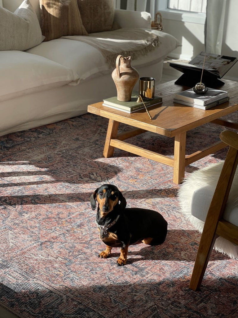 Anyel Brown and Blue Traditional Distressed Washable Rug*NO RETURNS UNLESS FAULTY