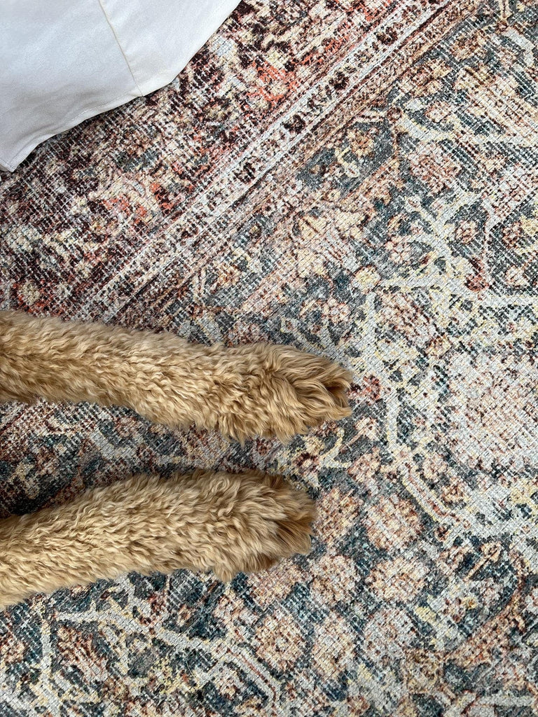 Krisna Brown and Blue Traditional Distressed Washable Rug