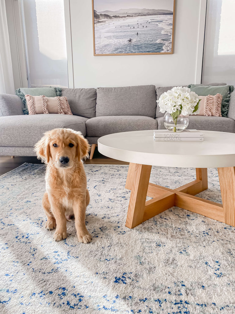 Noor Blue and Ivory Traditional Distressed Rug