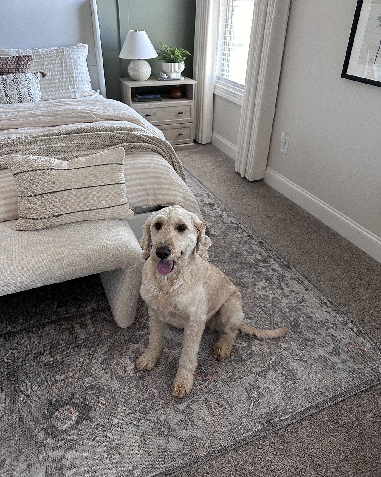 Ava Grey and Gold Traditional Distressed Washable Rug*NO RETURNS UNLESS FAULTY