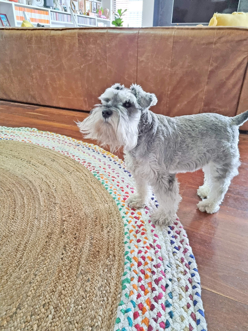 Ramona Multi-Color Round Jute Rug