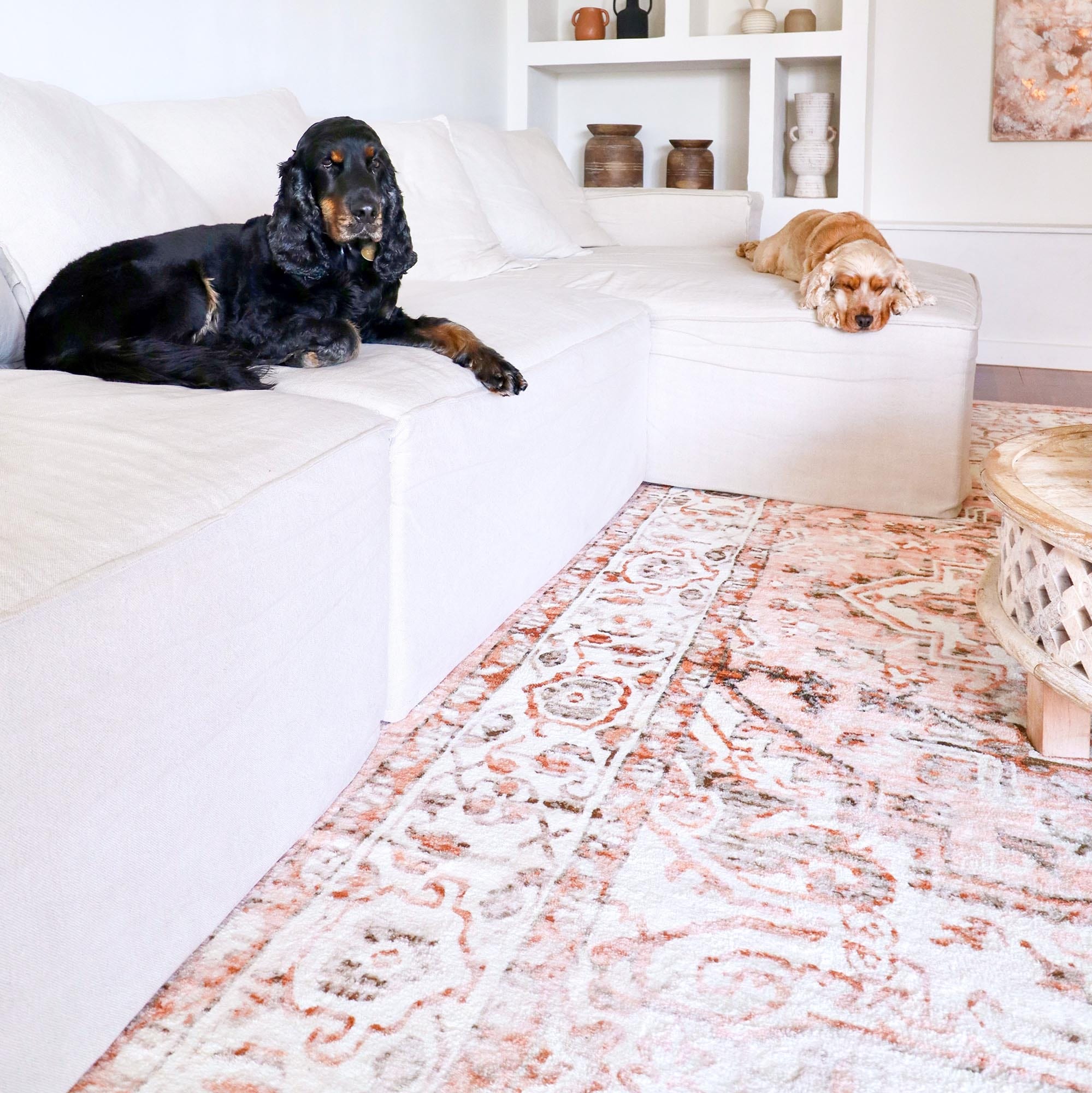 Veronique Peach and Brown Distressed Washable Rug – Miss Amara